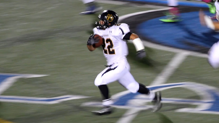 mvi_1164_Snapshot_727x409